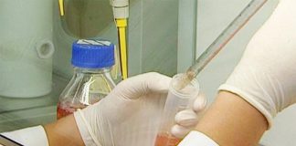 Terapia com três antivirais mostra sucesso no tratamento da COVID-19