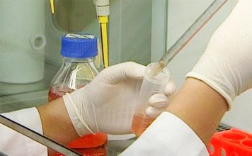 Fibrose renal pode vir a ser diagnosticada precocemente por testes não invasivos