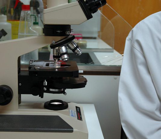 Porto Comprehensive Cancer Center distinguido com Prémio do Público nos REGIOSTARS 2026
