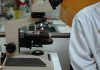 Tratamento com anticorpos pode reduziu tumores de cancro do pulmão Tratamento com anticorpos pode reduziu tumores de cancro do pulmão