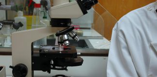 Tratamento com anticorpos pode reduziu tumores de cancro do pulmão Tratamento com anticorpos pode reduziu tumores de cancro do pulmão