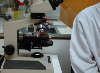Tratamento com anticorpos pode reduziu tumores de cancro do pulmão Tratamento com anticorpos pode reduziu tumores de cancro do pulmão