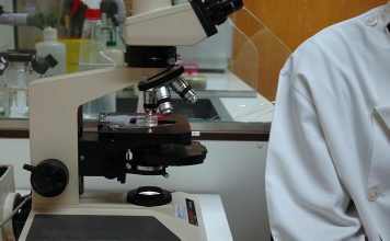 Tratamento com anticorpos pode reduziu tumores de cancro do pulmão Tratamento com anticorpos pode reduziu tumores de cancro do pulmão