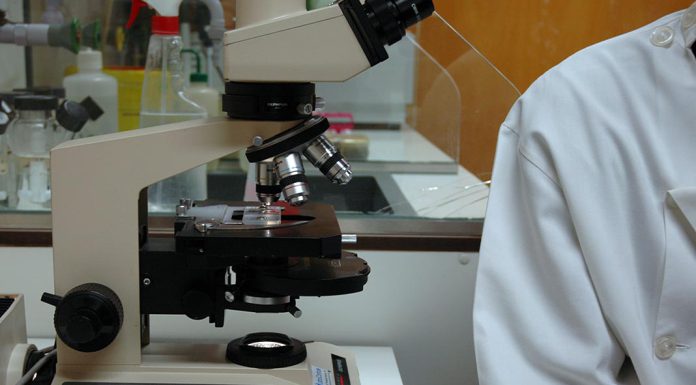 Tratamento com anticorpos pode reduziu tumores de cancro do pulmão