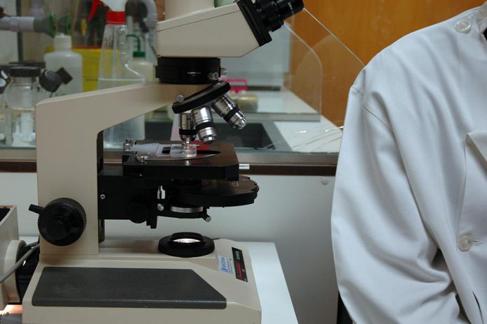 Tratamento com anticorpos pode reduziu tumores de cancro do pulmão Tratamento com anticorpos pode reduziu tumores de cancro do pulmão