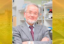 Yoshinori Ohsumi é o nobel de medicina de 2016