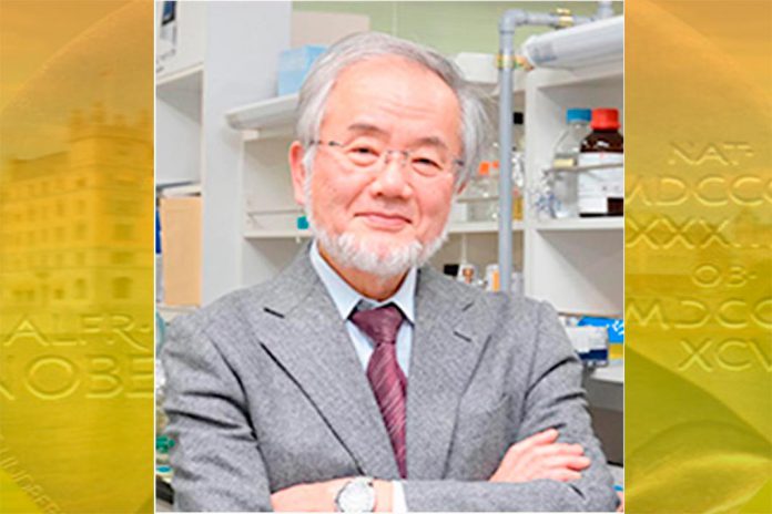 Yoshinori Ohsumi é o nobel de medicina de 2016