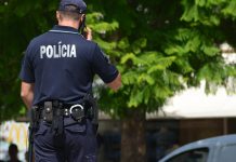Policias e militares da GNR a aguardar aposentação podem fazer vigilância nos serviços do Estado