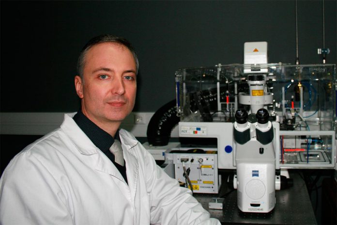 Attila Köfalvi, Centro de Neurociências e Biologia Celular