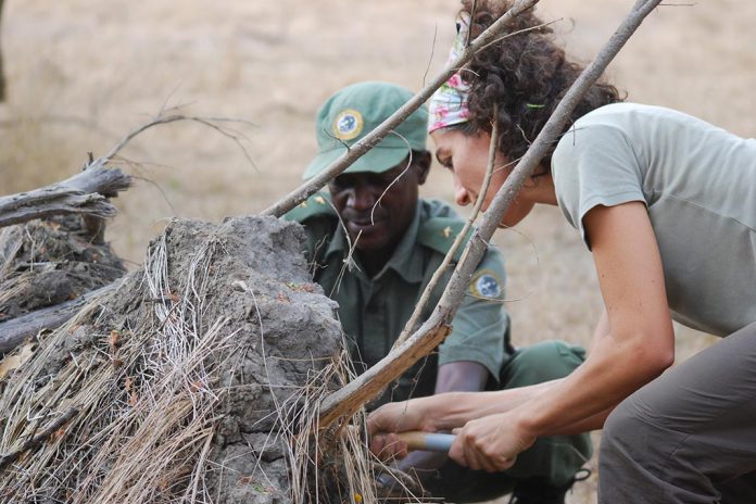 Estudo da UC contribui para conservar Parque Nacional da Gorongosa