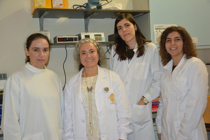 Identificados novos mecanismos na origem da doença de Leigh Identificados novos mecanismos na origem da doença de Leigh