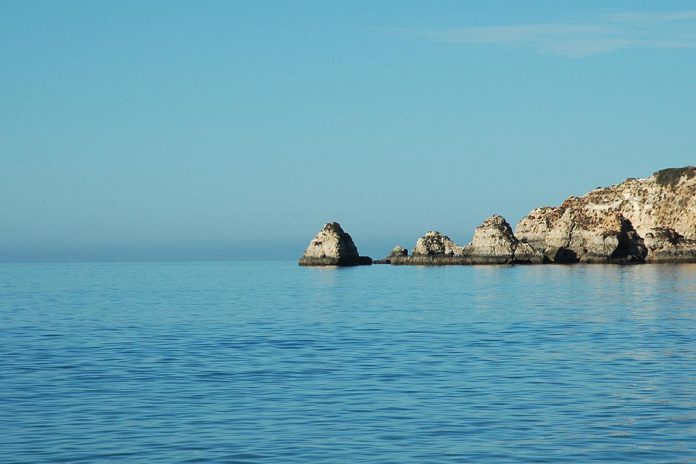 EMBRC passa a dispor de pólo na Universidade do Algarve