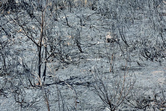 Região de incêndio