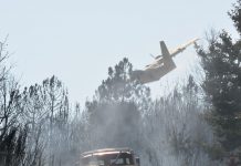 Fogos florestais: Comissão Europeia reforça frota de aviões