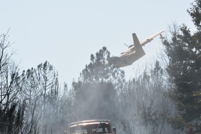 Meios de combate a incêndios rurais são os maiores de sempre