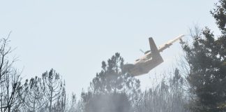 Incêndios florestais atingem máximos na Europa com épocas cada vez mais longas e destrutivas Incêndios florestais atingem máximos na Europa com épocas cada vez mais longas e destrutivas