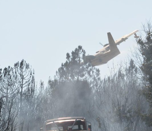 Incêndios florestais atingem máximos na Europa com épocas cada vez mais longas e destrutivas