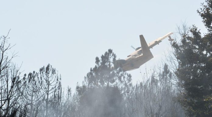 Incêndios florestais atingem máximos na Europa com épocas cada vez mais longas e destrutivas Incêndios florestais atingem máximos na Europa com épocas cada vez mais longas e destrutivas