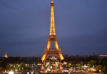 Eurodeputados levam à cimeira Nutrição em Paris preocupações sobre nutrição sustentável