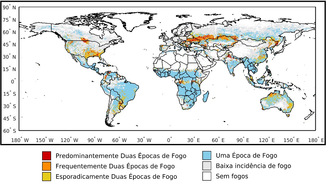 Fogos à escala global