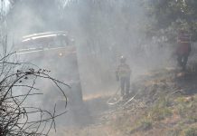 Bombeiros em ação