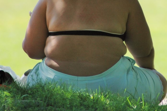 Obesidade aumenta risco de doenças cardivasculares entre os mais jovens