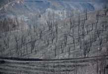 Incêndios em Portugal