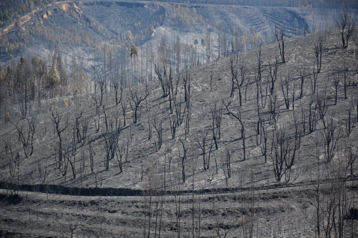 Incêndios em Portugal