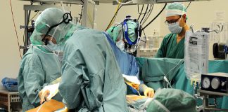 Investigadores da Universidade Norueguesa de Ciência e Tecnologia