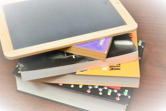 Abertas candidaturas a Bolsas EPIS 2025: 341 bolsas e um investimento de 845 mil euros