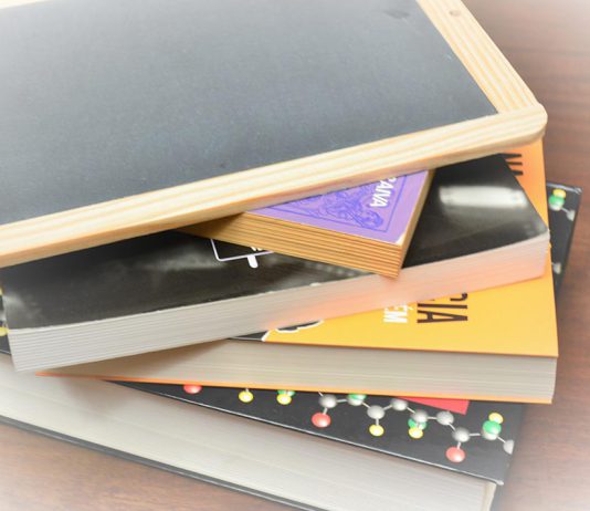 Dia Internacional da Educação: Comissão Europeia anuncia para 2026 pacote educativo para capacitar os aprendentes, apoiar professores e modernizar escolas