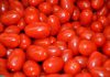 Estudos mostram potenciais estratégias para melhoramento de precisão do tomate Estudos mostram potenciais estratégias para melhoramento de precisão do tomate