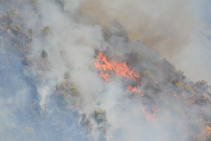 Bolívia recebe ajuda da União Europeia contra incêndios