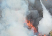 Incêndios em Portugal