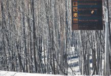 Incêndios afetam atividade turística