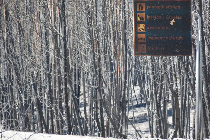 Incêndios afetam atividade turística