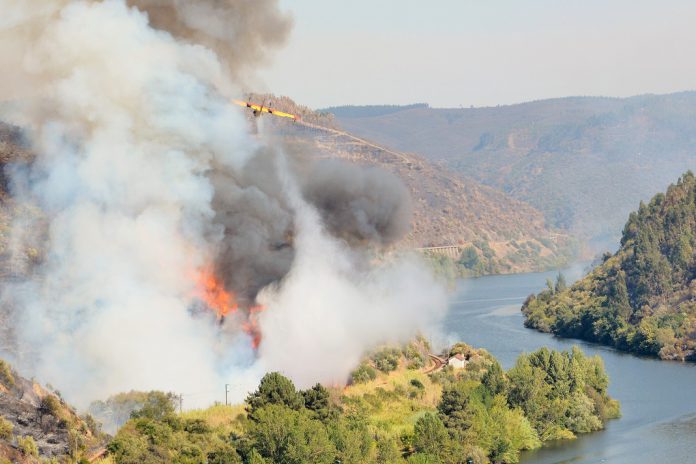 Incêndio florestal