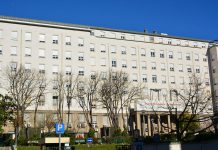 IPO de Lisboa vai ter um novo edifício na Praça de Espanha