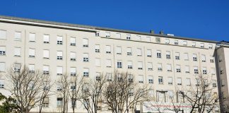 Tratamento com células CAR-T em crianças no IPO Lisboa