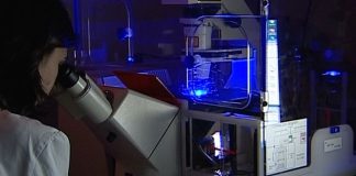 Para apoiar IA na saúde e na segurança online Comissão Europeia lança concursos de 63,2 milhões de euros