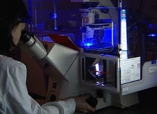 Para apoiar IA na saúde e na segurança online Comissão Europeia lança concursos de 63,2 milhões de euros