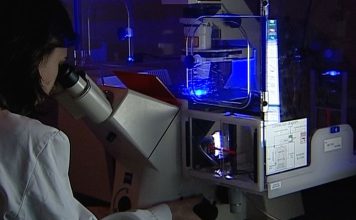 Para apoiar IA na saúde e na segurança online Comissão Europeia lança concursos de 63,2 milhões de euros