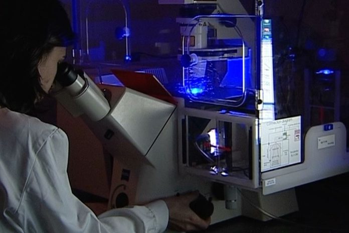 Para apoiar IA na saúde e na segurança online Comissão Europeia lança concursos de 63,2 milhões de euros