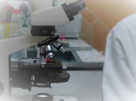 Doentes de COVID-19 podem desenvolver doenças renais graves