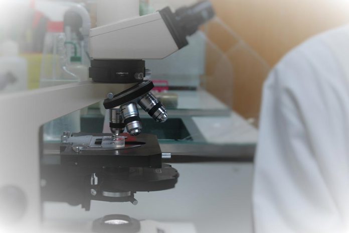 Reino Unido investe em nova unidade de topo para acelerar terapias RNA para cancro e outras doenças Reino Unido investe em nova unidade de topo para acelerar terapias RNA para cancro e outras doenças