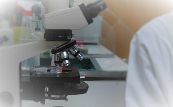 Novo estudo reforça evidências que a perda de peso diminui risco de cancro