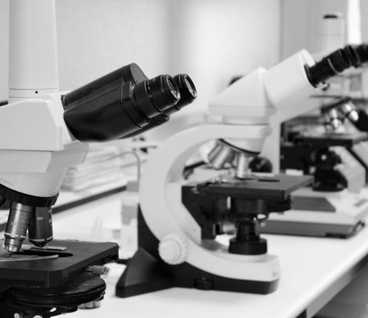 Manganés é um potencial catalisador para células de combustível