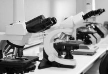 Mais de 100 iniciativas nacionais e regionais pretendem atrair investigadores para a União Europeia