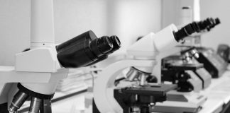 Mais de 100 iniciativas nacionais e regionais pretendem atrair investigadores para a União Europeia