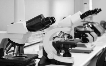 Mais de 100 iniciativas nacionais e regionais pretendem atrair investigadores para a União Europeia